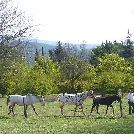 La Petite Galejade Gordes