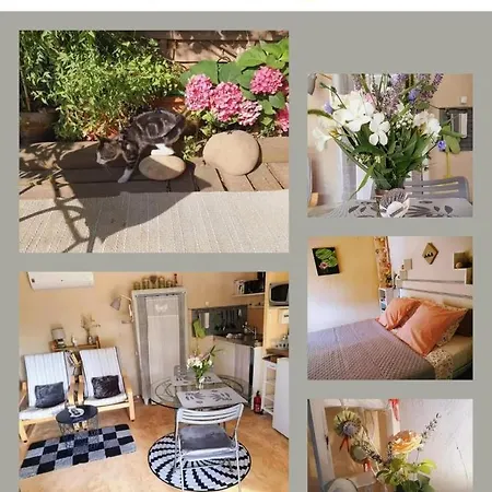 Holiday home La Petite Galejade